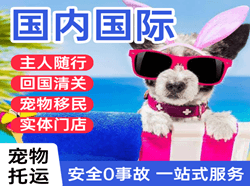三亚航空快运国际宠物托运 【国